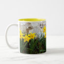 Suche nach heiliges david tassen Daffodien