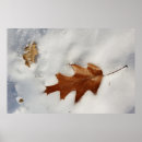 Suche nach eichenblatt poster Winter