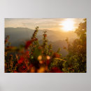Suche nach nature photography poster Autumn