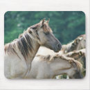 Suche nach pferd mousepads Herde