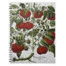 Suche nach gemüse kleine notizbücher Pflanze