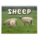 Suche nach schafe in der kalender Hirte