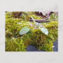 Suche nach winzig postkarten Natur