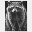Suche nach raccoon magnete Tier