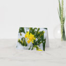 Suche nach für frühling karten Schnee