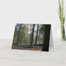Suche nach sierra karten Natur