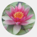 Suche nach lotus aufkleber Elegant