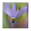 Suche nach lavendel blume fliesen Für sie