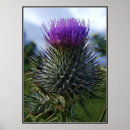 Suche nach fine art poster Flower
