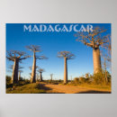 Suche nach arbres poster Paysage