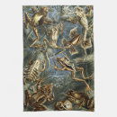 Suche nach frösche geschirr tücher Amphibien