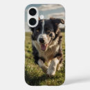 Suche nach collie iphone hüllen Herden