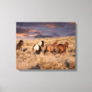 Suche nach mustang leinwandbilder Pferd