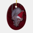 Suche nach ratte ornamente Haustier