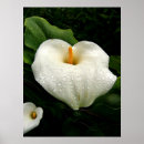 Suche nach regnerischer tag poster Natur