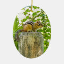 Suche nach zaun von waren ornamente Natur