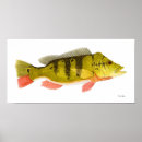 Suche nach baß kunst Fischerei