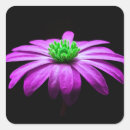 Suche nach marsch aufkleber Blume