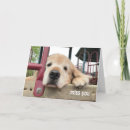 Suche nach hund karten Goldene retriever