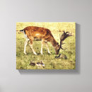 Suche nach ländlich leinwandbilder Natur