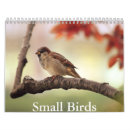 Suche nach kleiner kalender Vögel