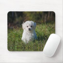 Suche nach süß mousepads Weiß