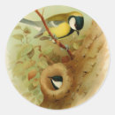Suche nach waldvogel aufkleber Waldvögel