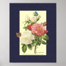 Suche nach rote und weiße rose poster Blumenreich