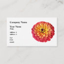 Suche nach zinnia Orange