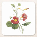 Suche nach redouté Botanisch