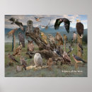 Suche nach der eber poster Ebere