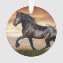 Suche nach schönes ornamente Pferd