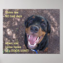 Suche nach rottweiler poster Jungtier