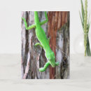 Suche nach grüne eidechse karten Natur