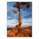 Suche nach leiste postkarten Natur