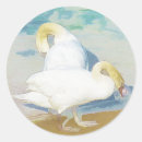 Suche nach cygnet aufkleber Vögel