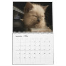 Suche nach kätzchen kalender Süß