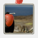 Suche nach prinz ornamente Rot