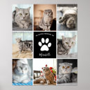 Suche nach pet memorial poster Tierverlust