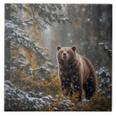 Suche nach bär fliesen Wildnis