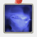 Suche nach transparent ornamente Leute