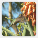 Suche nach alo aufkleber Kolibris