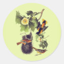 Suche nach audubon aufkleber Vintag