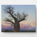 Suche nach bäume auf fotoplatten Landschaft