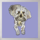 Suche nach maltipoo poster Welpen