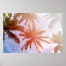 Suche nach kokosnüsse poster Insel