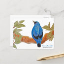 Suche nach afrikanischer vogel postkarten Natur