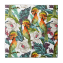 Suche nach exotische vögel fliesen Vogel