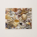 Suche nach molluske puzzle Strand