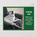 Suche nach doges postkarten Süß
